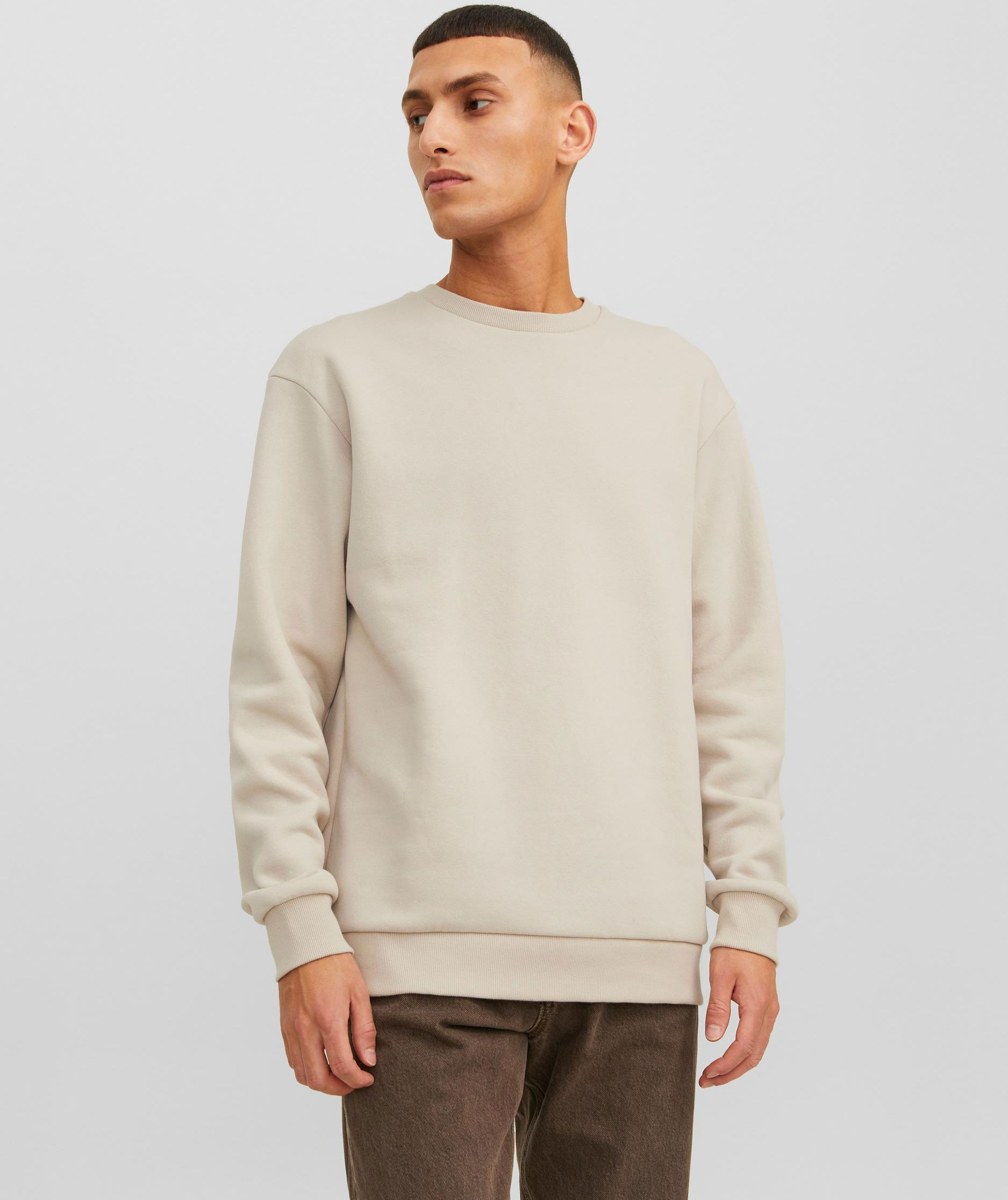 Jack & Jones JJEBRADLEY sweatshirt, Moonbeam