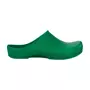 Birkenstock Klassik Birki Regular Fit Damen Clogs, Grün Birkenstock Klassik Birki Regular Fit Damen Clogs, Grün