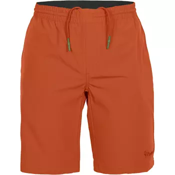Pinewood Finnveden Sports Light shorts