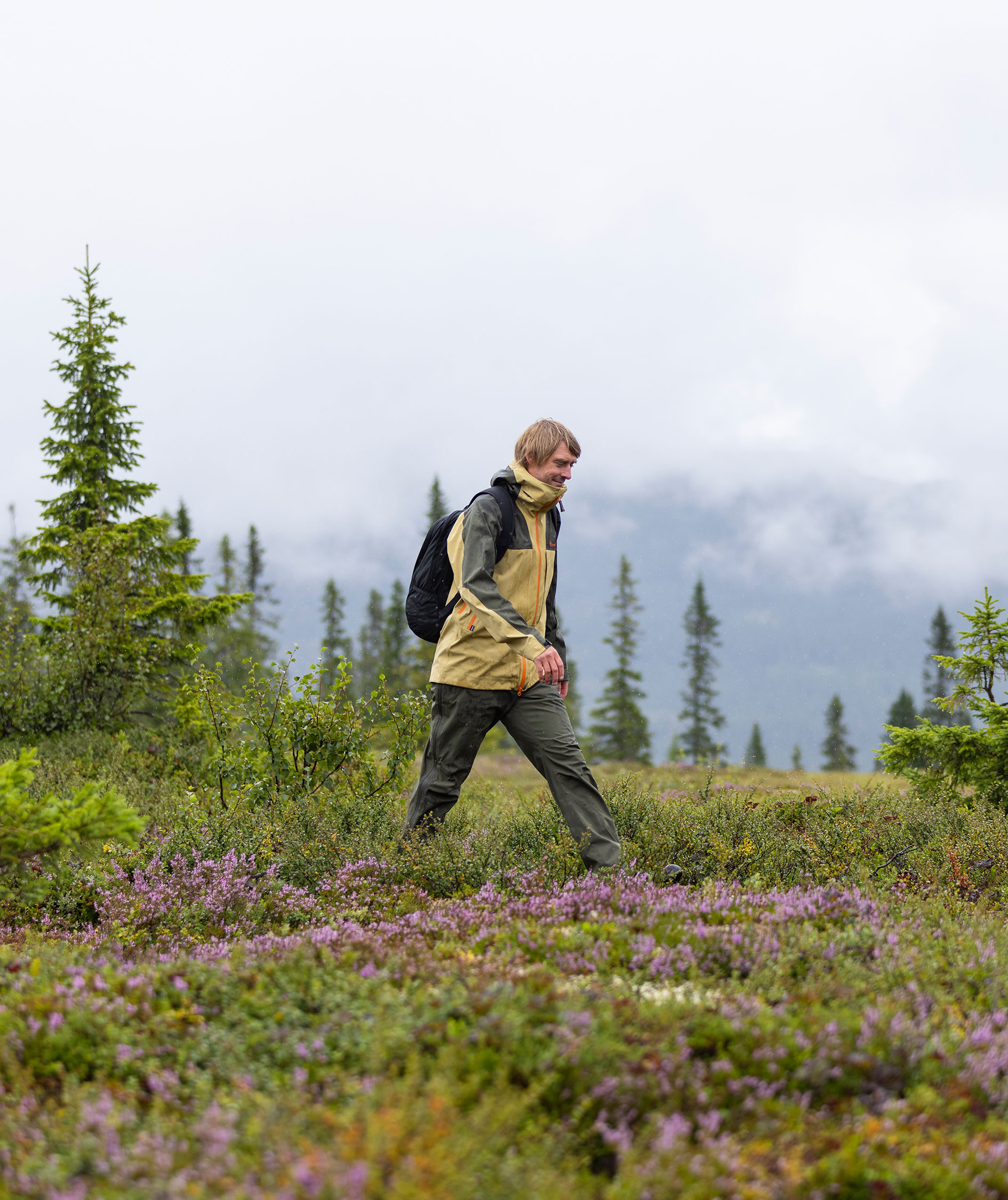 Pinewood Telluz bukser, Moss green, large image number 5