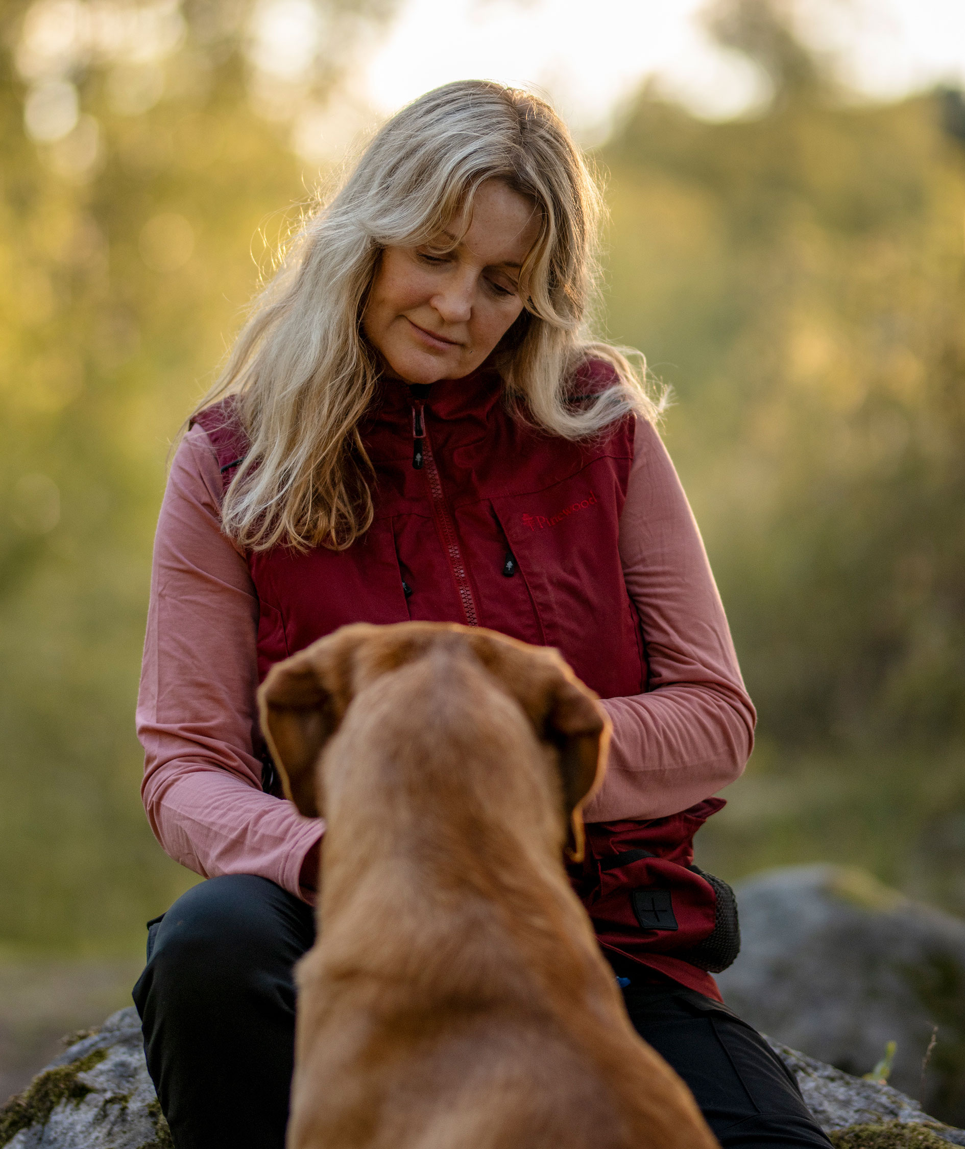 Pinewood Dog Sports Trainer damevest, Dark Tomato/Dark Red, large image number 13