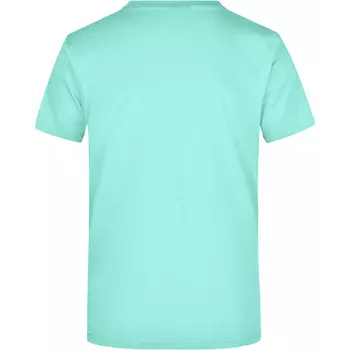 James & Nicholson T-shirt Round-T Heavy, Mint