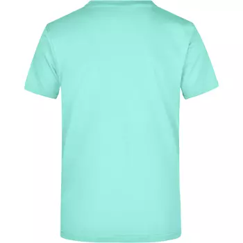 James & Nicholson T-Shirt Round-T Heavy, Mint
