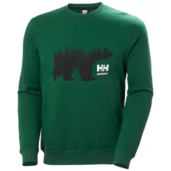 Helly Hansen sweatshirt, Green