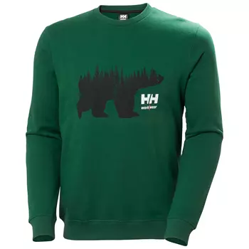 Helly Hansen sweatshirt, Green
