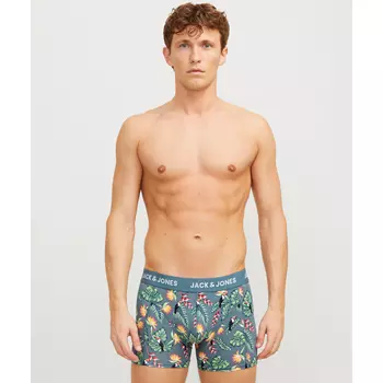 Jack & Jones JACFLOWER BIRD 3-pack kalsonger