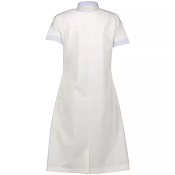 Borch Textile women's dress, White/Blue Striped