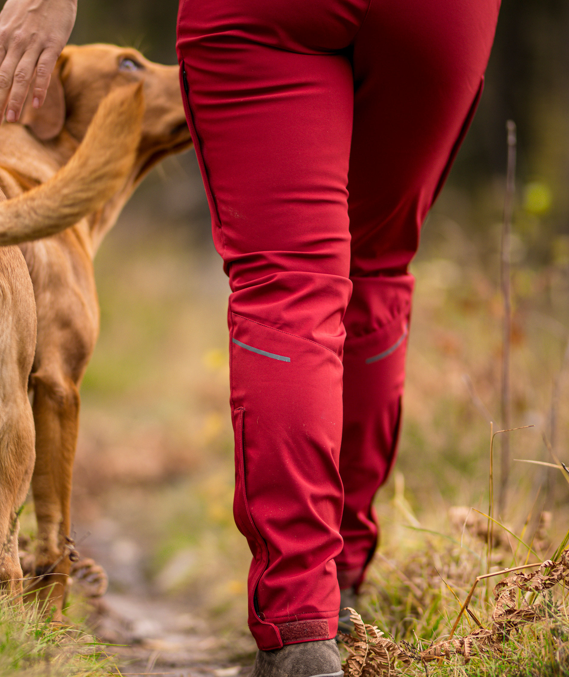 Pinewood Wilda Stretch dame skalbukser, Dark Tomato, large image number 10
