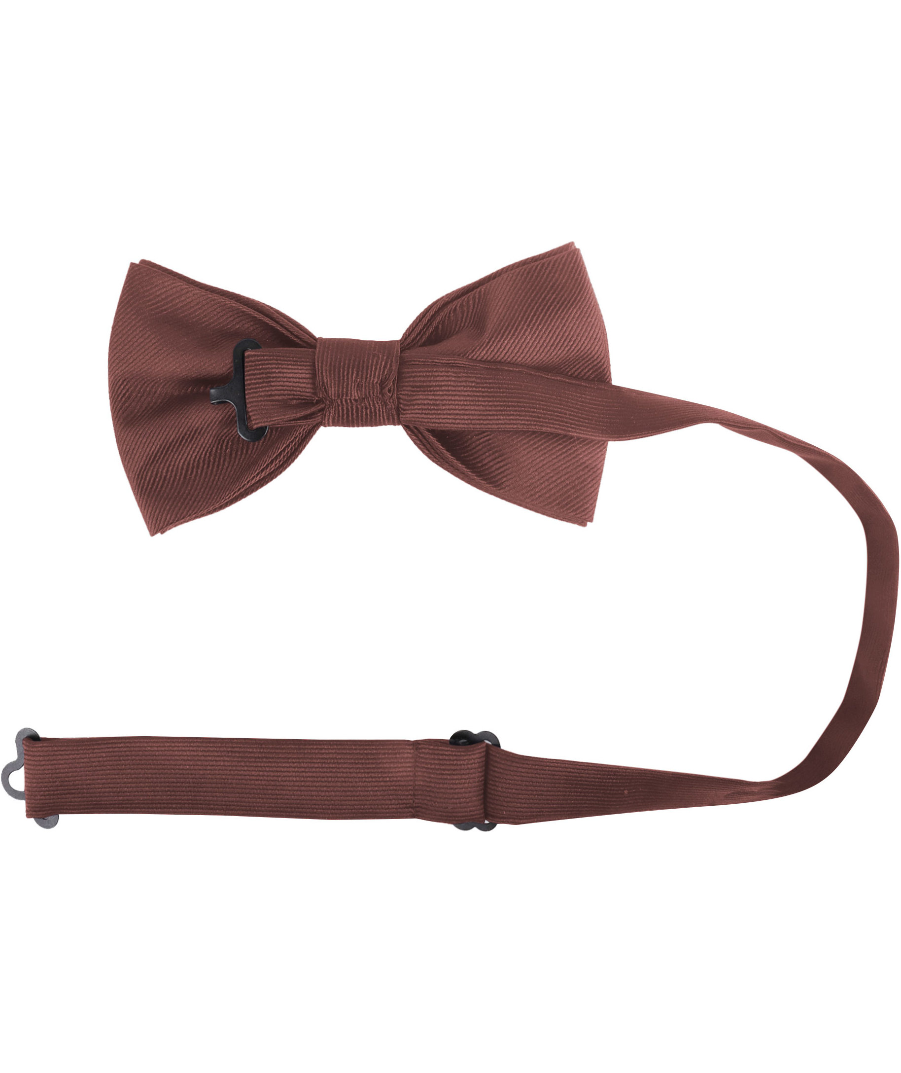 Karlowsky butterfly, Light Brown, Light Brown, large image number 3